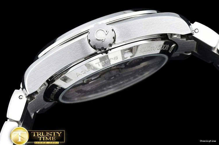 1031 OMG0465H – Aqua Terra 38mm